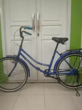Jual sepeda mini ukuran 24