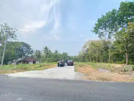 Tanah Kulon Progo Murah, Di Krembangan, Siap AJB Notaris