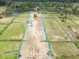 Tanah  Strategis Sleman, 5 Menit ke Star Beach Swimming Pool