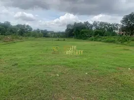 TANAH LUAS LEGALITAS JELAS AMAN SUDAH SHM DI GAMPING SLEMAN