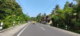 Dekat Exit Tol Sentolo-Jogja: Pekarangan Profit 30%