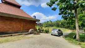 KEK Industri Sentolo, Free BPHTB