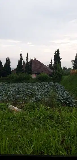 Tanah Kavling Murah Banget Strategis di Lembang Asri Bandung