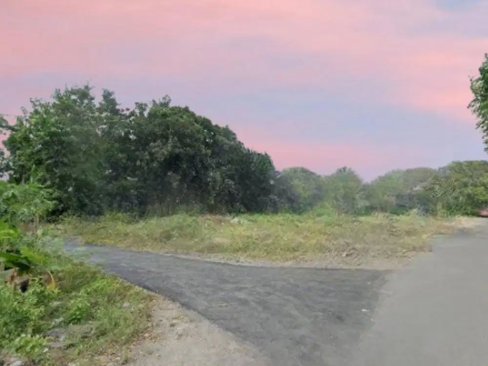 Pekarangan di Sleman, 6 Menit Utara Jl. Jogja-Solo
