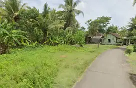 Jual Tanah Kulon Progo, Barat Kampus UAD Wates