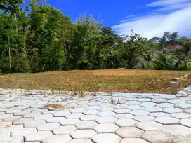 Tanah Wates Murah Siap AJB