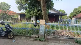 Ranca kelapa curug