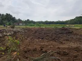 dekat Bandara NYIA; Tanah Murah; Siap AJB