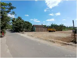 SEGERA Jual Tanah di Jejeran Jl.Imogiri Timur 3 Jt Nego