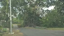 tanah luas -+131m2 lokasi barat pasar pakem jl kaliurang km 16