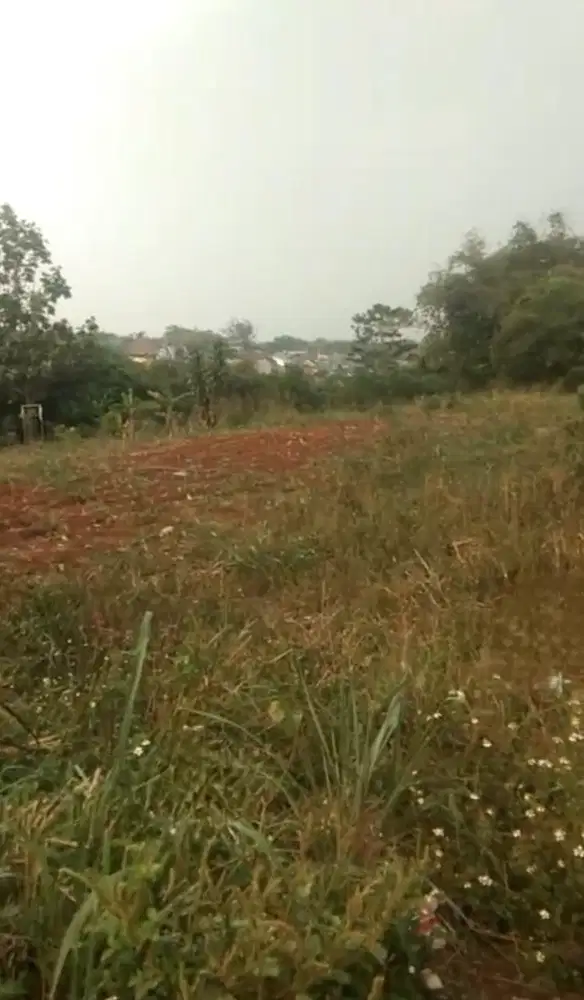 Dijual Tanah Murah di Cibinong