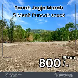 800rban Tanah Jogja Murah 8 menit Pasar Pleret SHM Pekarangan