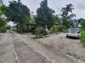 Kulonprogo; Tanah Murah; Siap AJB