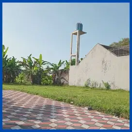 Dijual Tanah Timur Stadion Maguwoharjo 700 Meter Jl Raya Tajem