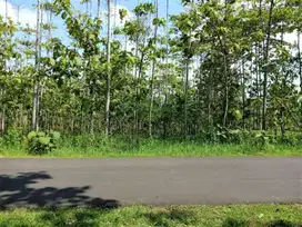 Tanah strategis dikerjo karanganyar