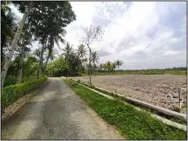 Tanah Kos-kosan murah Kulon Progo; Yogyakarta, Profit 30%
