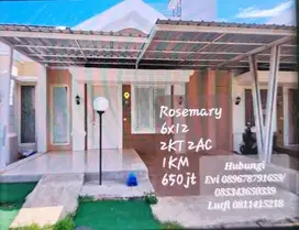 Dijual Rumah di Cluster Rosemary Green River View