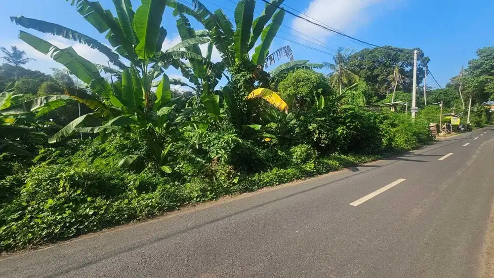 FOR SALE Freehold  Dijual tanah komersil Lokasi jalan utama pantai nya