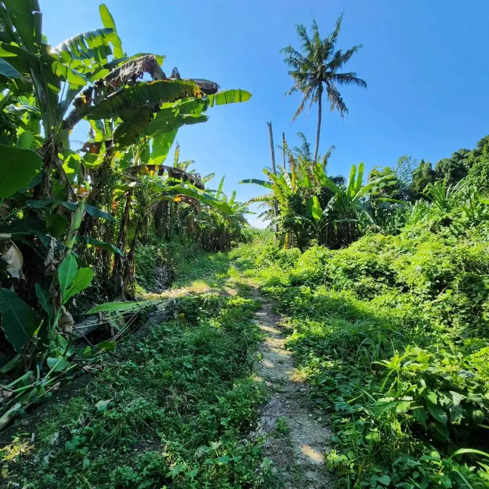 Tanah Tumbak Bayuh Mengwi Badung
