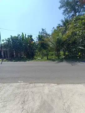 Dijual tanah strategis tepi jalan raya karanganyar-tawangmangu