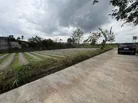 Ngaglik dekat Kampus UII Kaliurang siap bangun Kost dan Villa