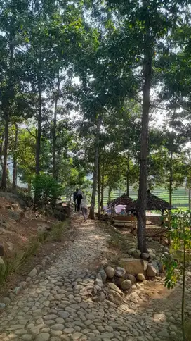 Tanah Kavling wisata Bogor sekitar Bekasi, Cibubur