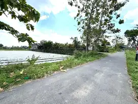 Tanah Pekarangan Ngaglik Sleman, Tepi Jalan 2 Juta-an