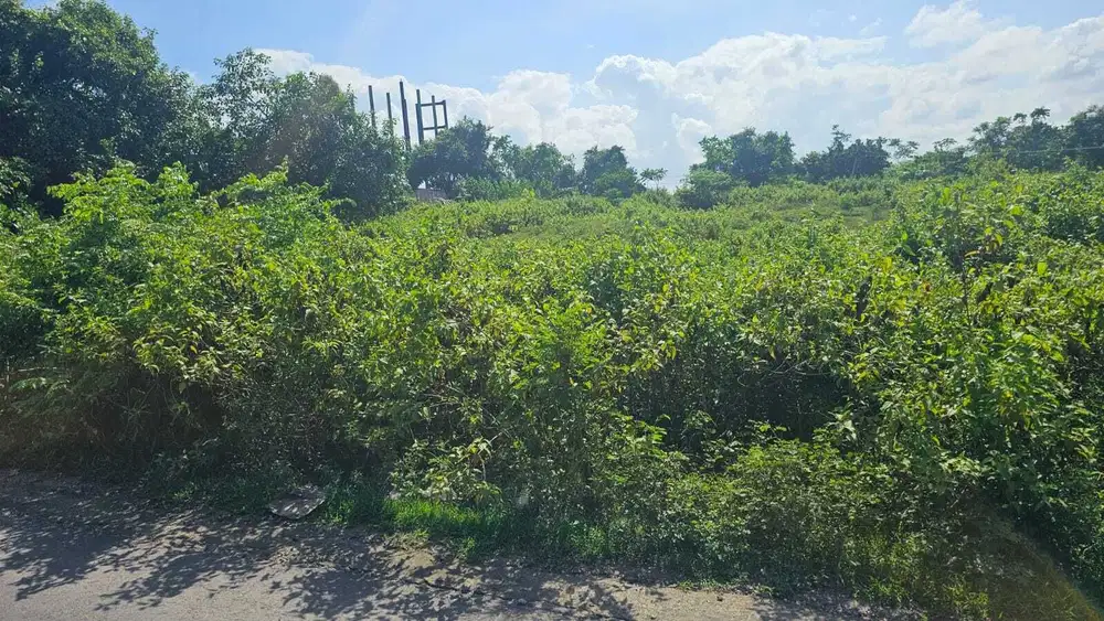 Jual Tanah Di Pantai Nyanyi Tabanan Bali