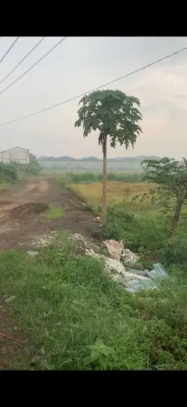 DIJUAL TANAH INDUSTRI RAYA LEGUNDI 1 MENIT DARI EXIT TOL KRIAN