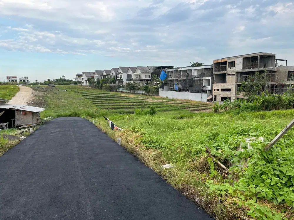 JUAL CEPAT Tanah Luas 147m² Lokasi Cemagi View Sawah dekat Canggu