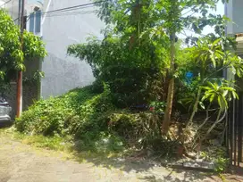 Tanah Murah Siap Bangun Lokasi Strategis di Koala Regency Sukolilo