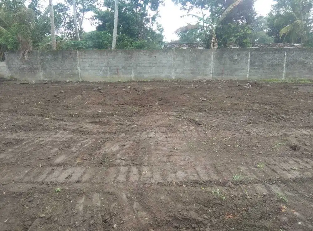 Tanah dijual Jogja dekat kantor kelurahan Tirtomartani Kalasan