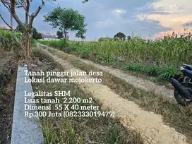 Tanah nol jalan desa termurah lokasi dawar