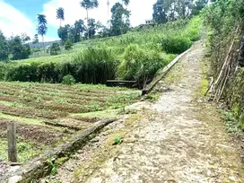 Tanah View Indah Dekat Telaga Mardida