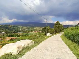 Dijual tanah kemuning harga dibawah pasar view los