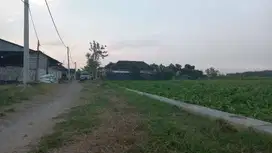 Tanah pekarangan balong panggang