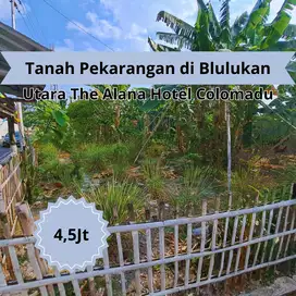 Dijual Taanah Pekarangan 3 Menit UMS, Pas Bangun Kos