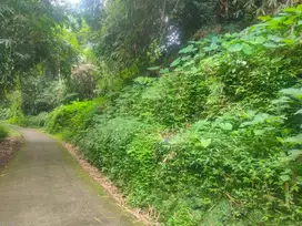 Tanah Perkarangan luas 685m² di Kawasan wisata Kemuning