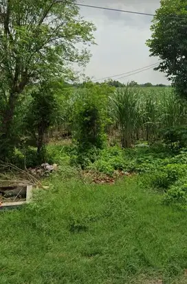 Bangsal. Lahan siap bangun bangun.