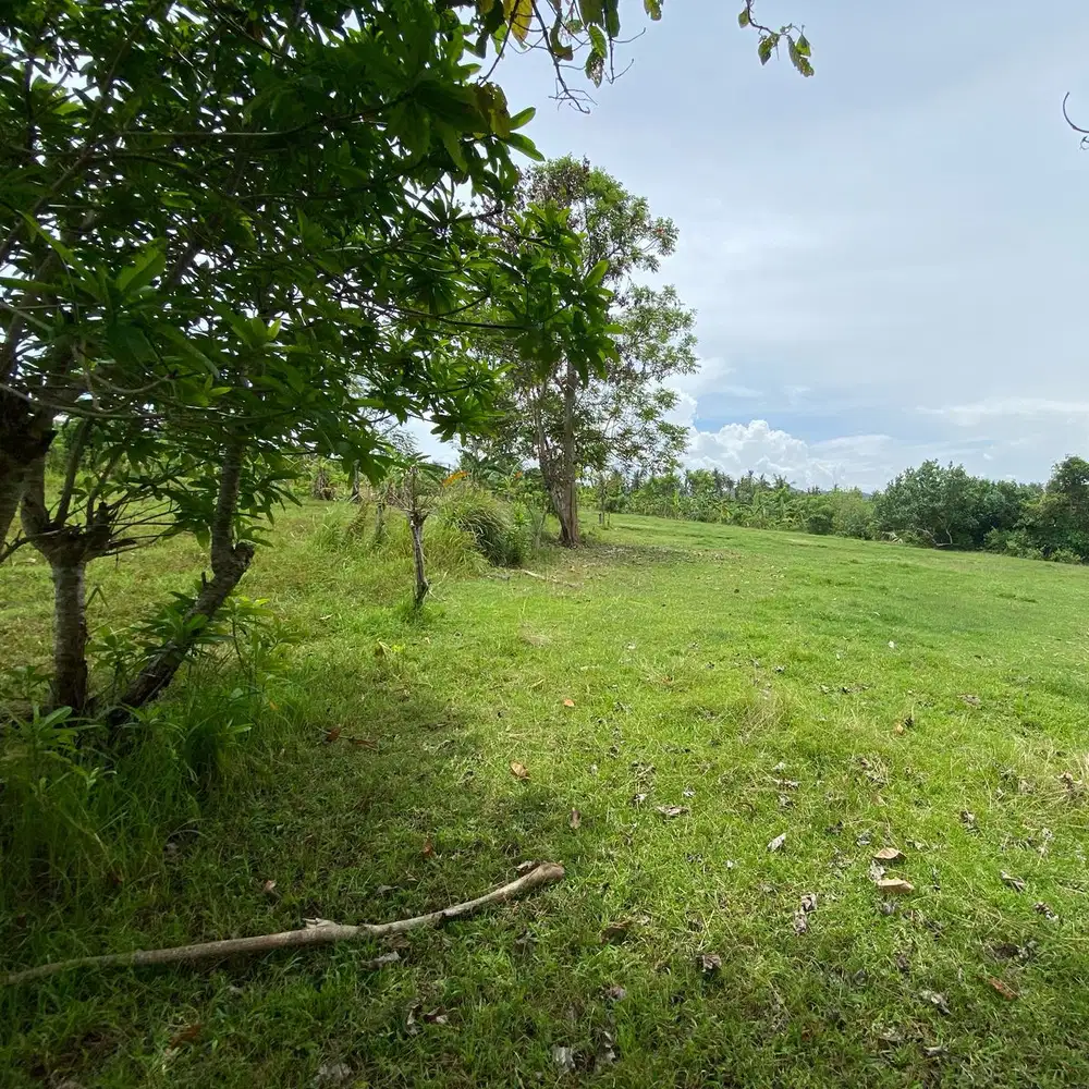 Jual tanah 1460 m2 kawasan dekat pantai balian beach
