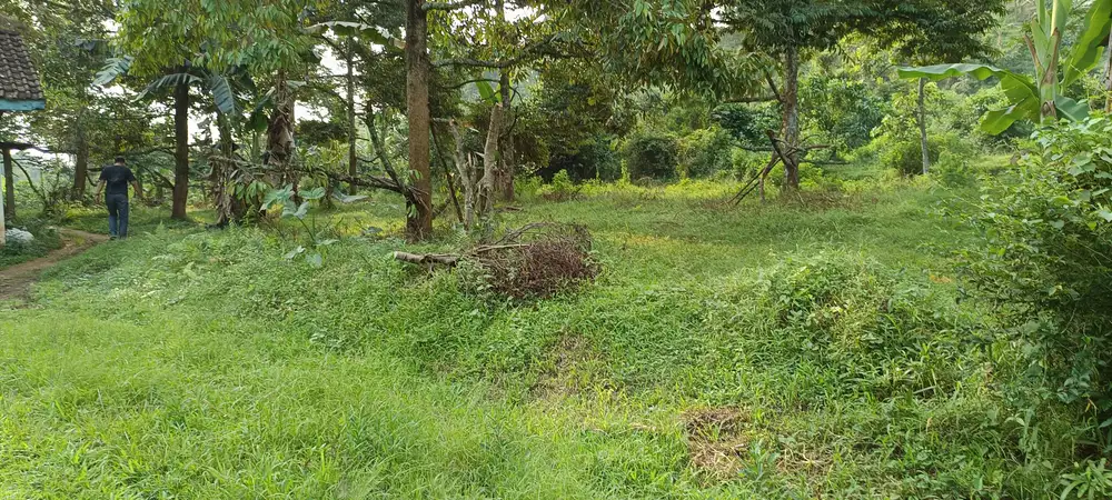 Dijual Murah Tanah Perumahan jl. Limbangan Semarang