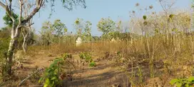 Merakurak, Tegalrejo Tuban Jawa Timur
