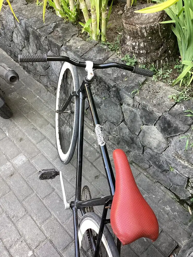 Fixie Doltrap / free brake torpedo