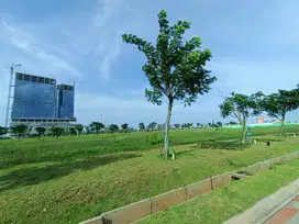 Disewakan Tanah Kavling Komersil PIK 2 luas 489m2 Thamrin