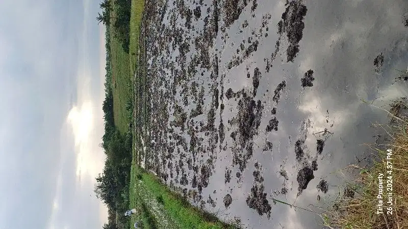 Dijual tanah di Kelating