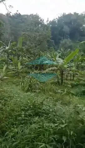 Dijual Tanah Trawas daerah Sekuti