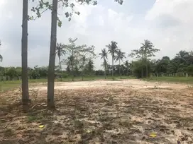 Dijual Tanah Kosong Akses Main Road Kuala Tanjung