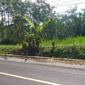 Lahan Daerah Sukapura Probolinggo
