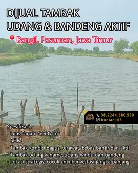 Tanah Tambak Udang Vaname Bandeng Ikan Aktif Produktif Bangil Pasuruan