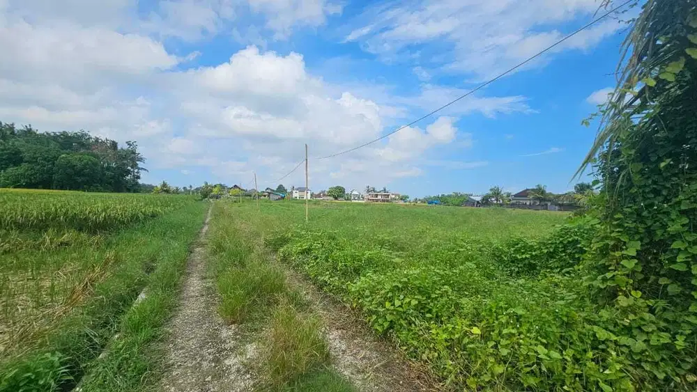 Jual Tanah Di Pantai Kedungu Tabanan Bali